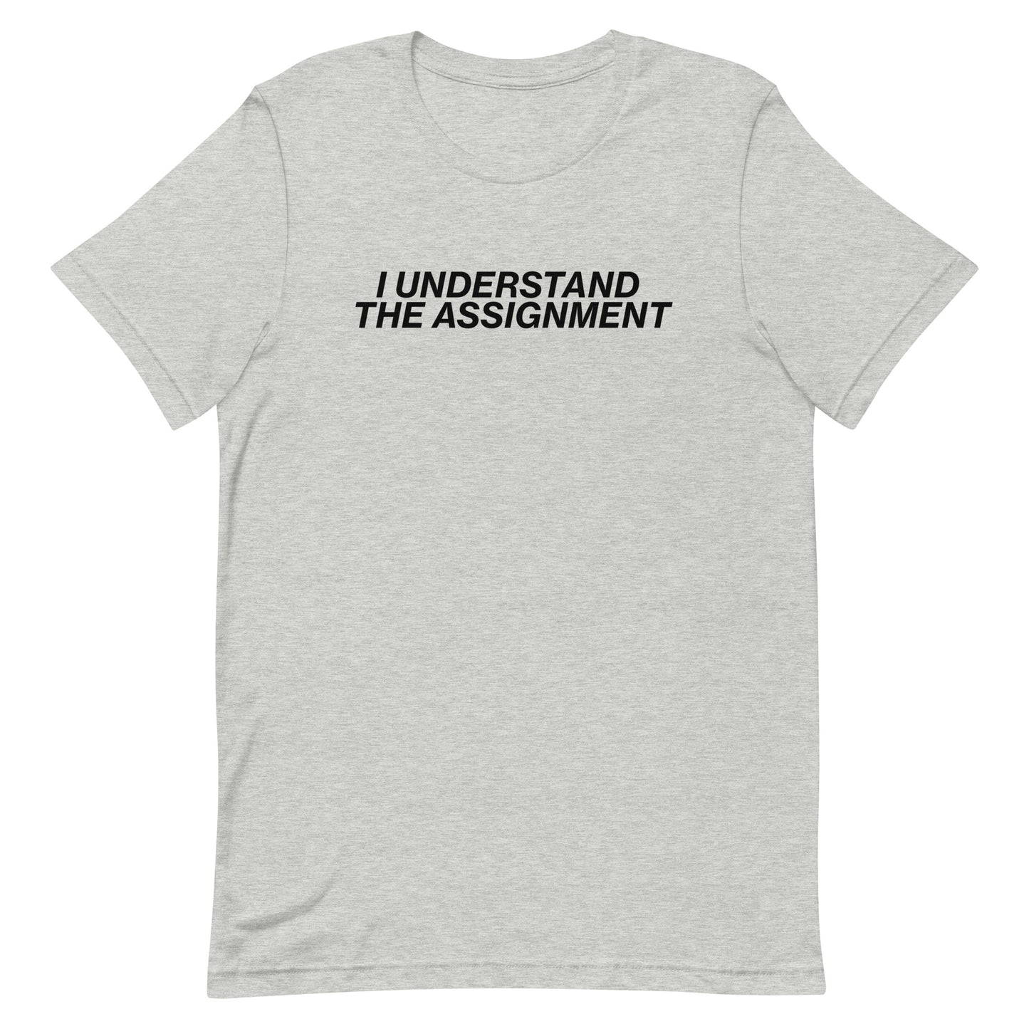 I Understand The Assignment Unisex t-shirt