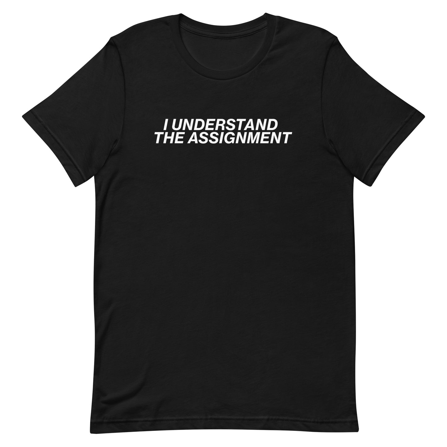 I Understand The Assignment Unisex t-shirt