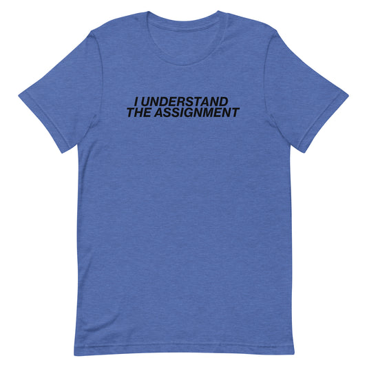 I Understand The Assignment Unisex t-shirt