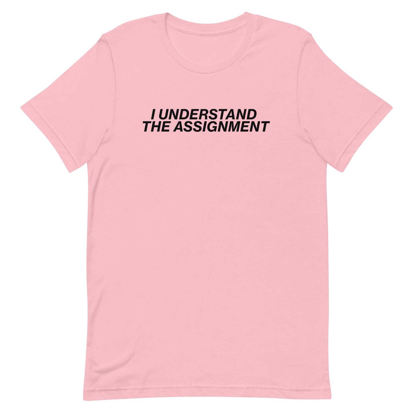 I Understand The Assignment Unisex t-shirt