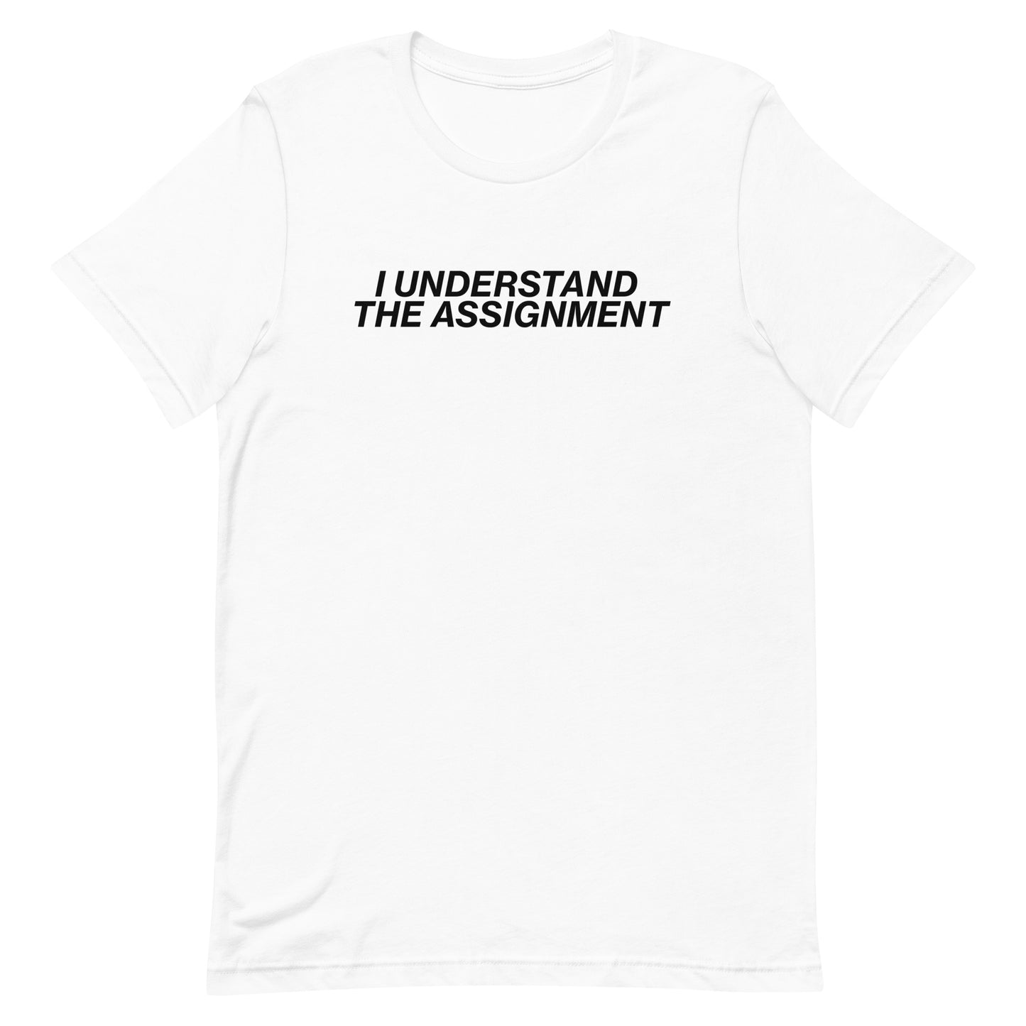 I Understand The Assignment Unisex t-shirt